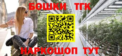 гидра Заводоуковск