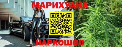 гидра Заводоуковск
