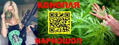 гидра Заводоуковск