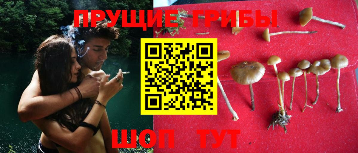 Галлюциногенные грибы Magic Shrooms Петрозаводск