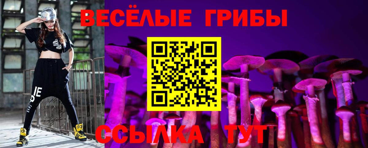 Псилоцибиновые грибы Magic Shrooms  Вход с VPN  где купить наркотик  Петрозаводск 